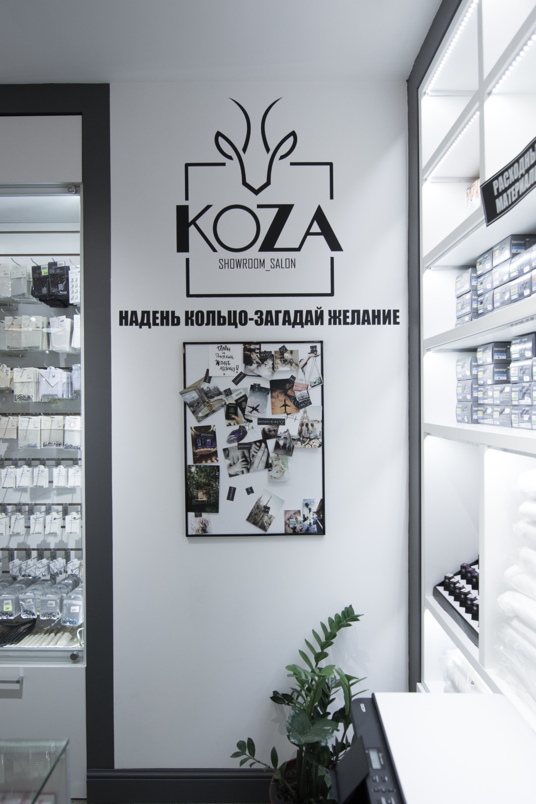 Koza
