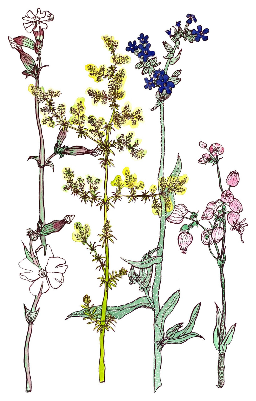 Unnamed Photo