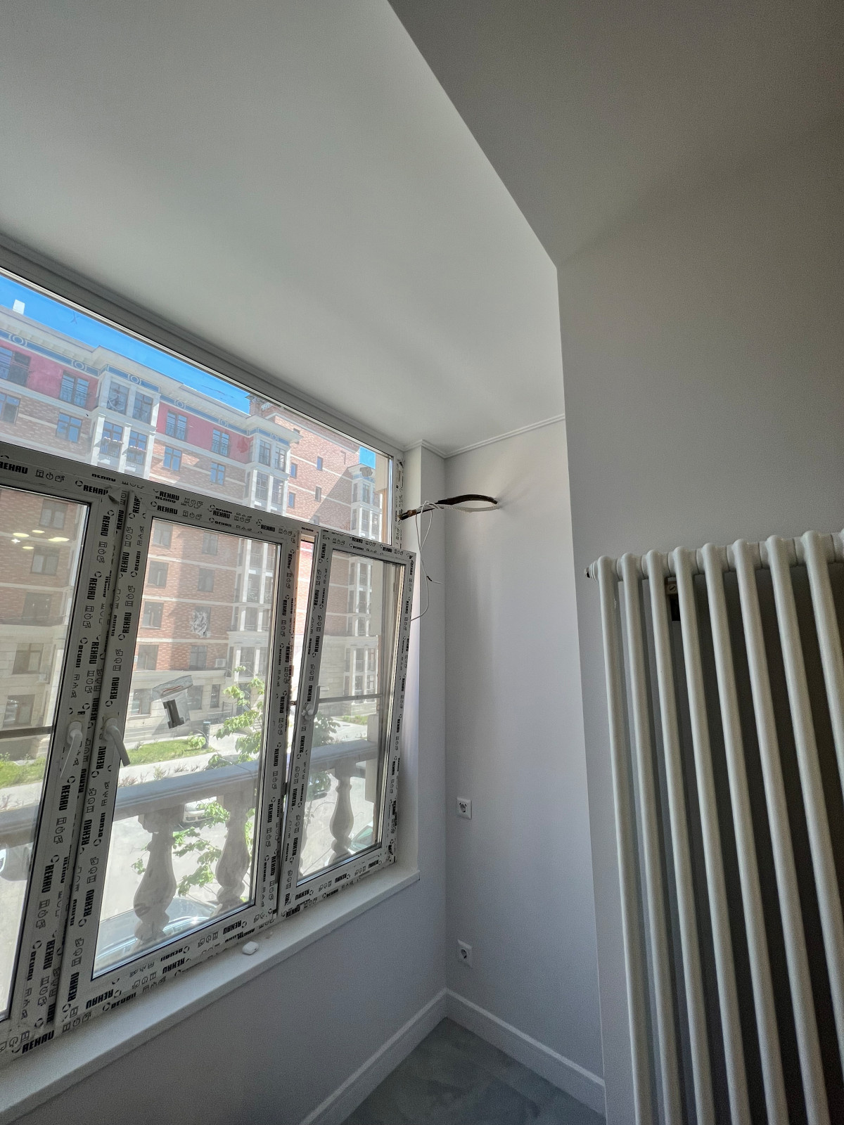 IMG_1569.HEIC