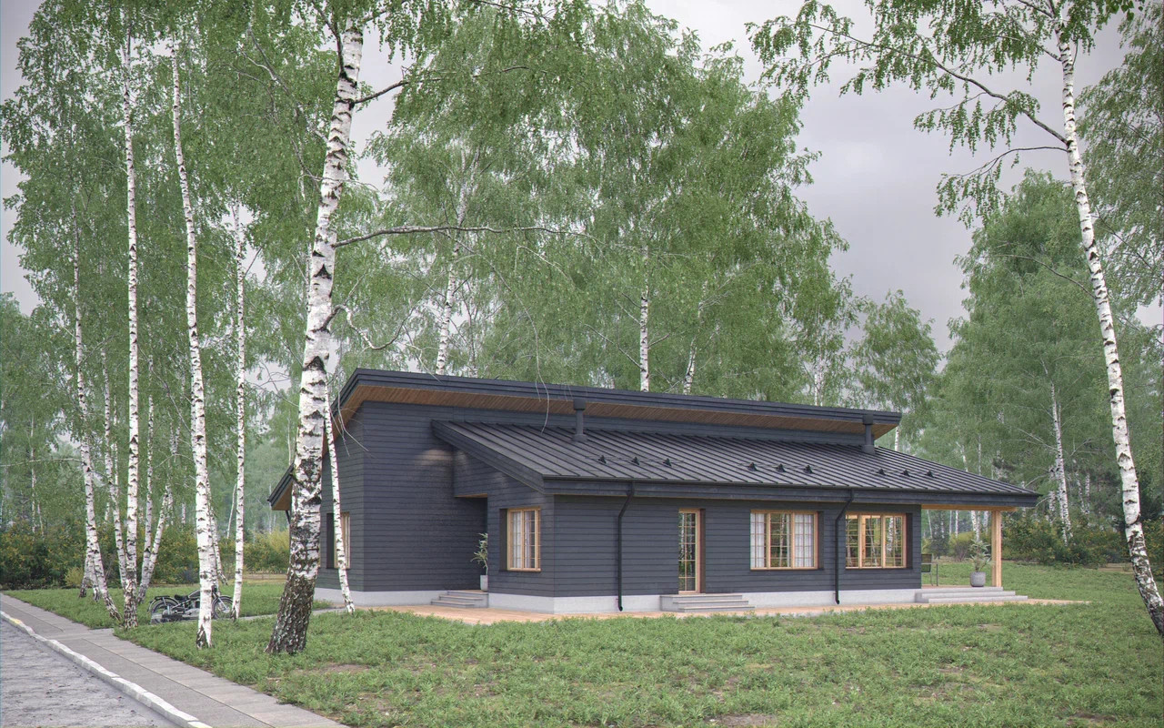 Дом для Антона
