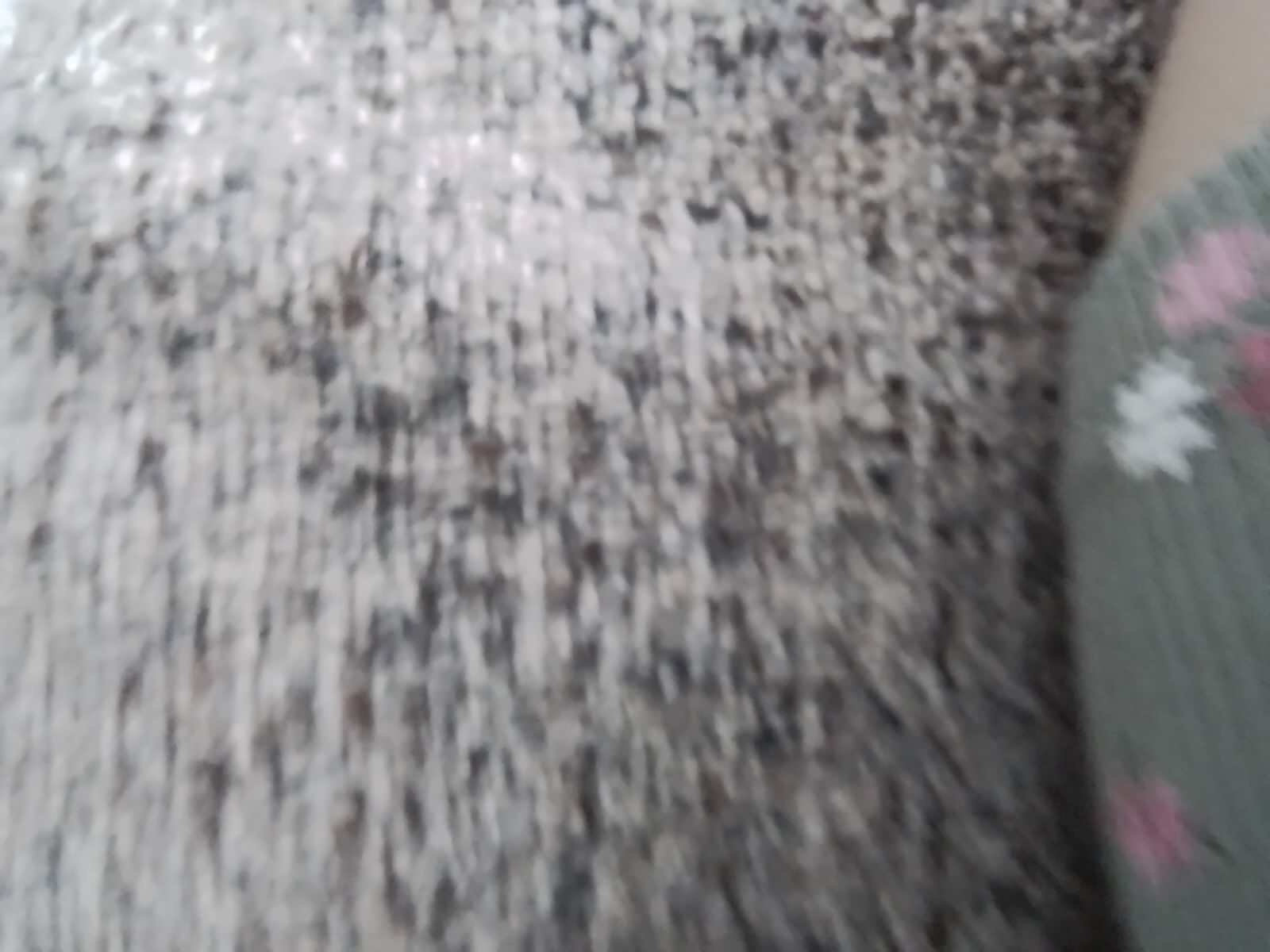 Unnamed Photo