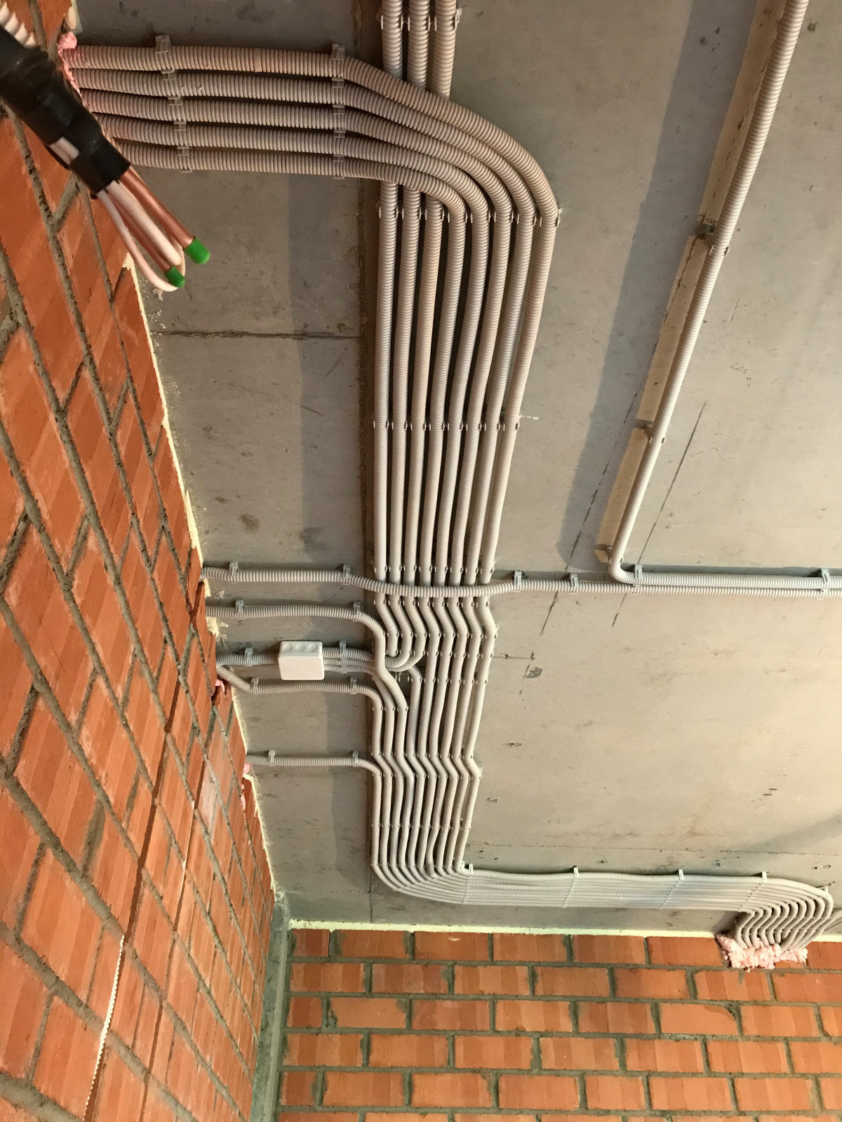 Антон Рубайло