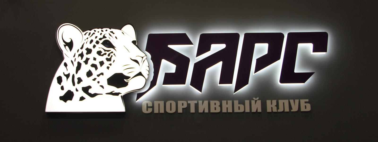 г.Электросталь , фитнес-клуб БАРС