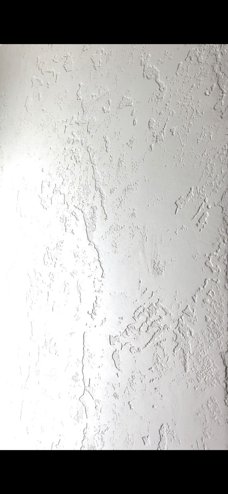 IMG_1538.PNG