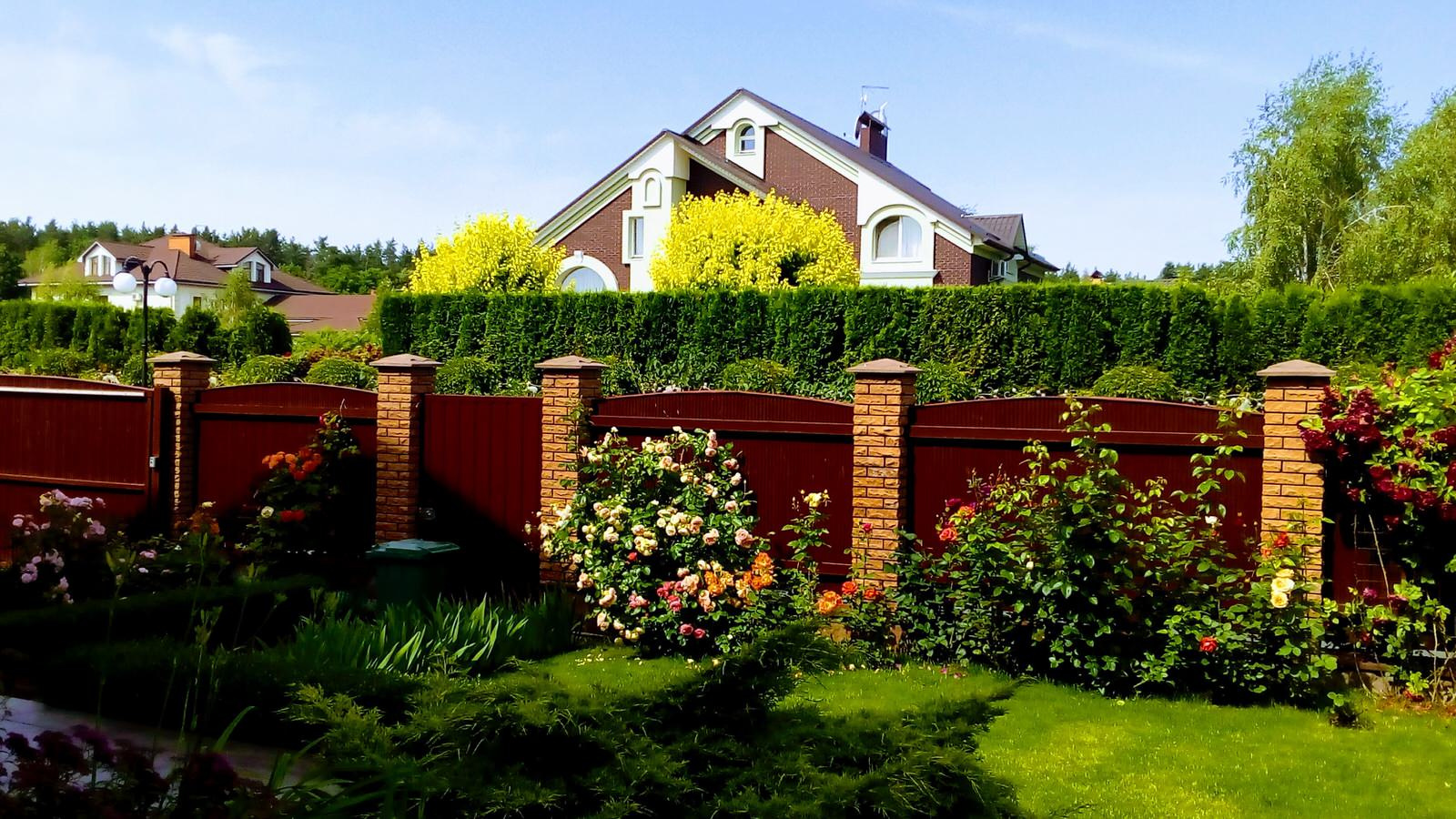 Елена Деднева