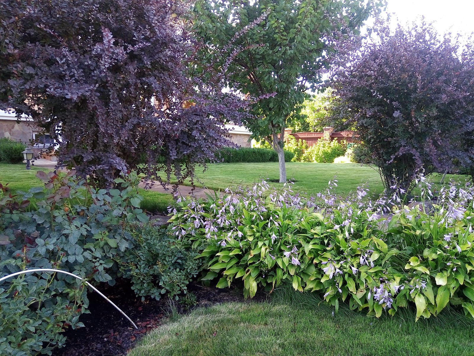 P_20170805_171815_Original.JPG