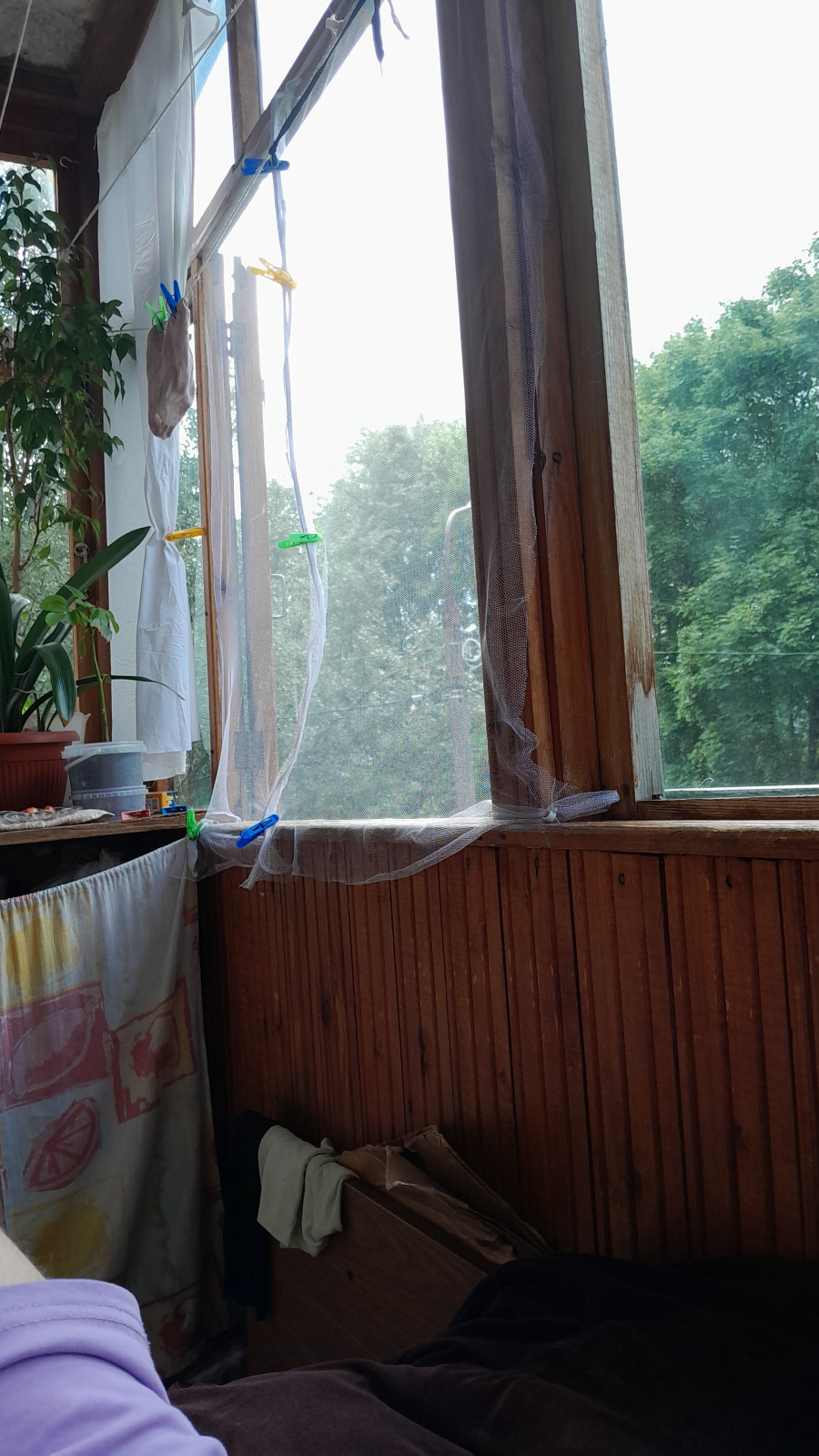 Unnamed Photo