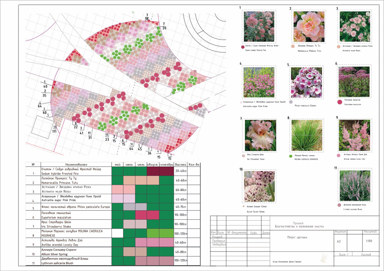 Диана Гошкодер