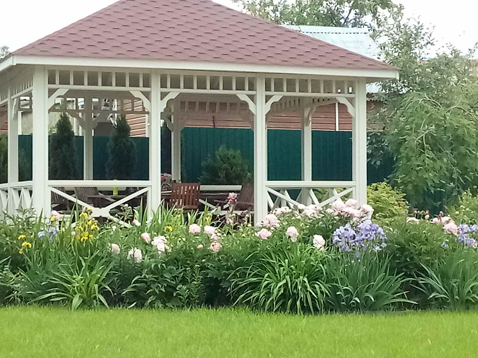 Unnamed Photo