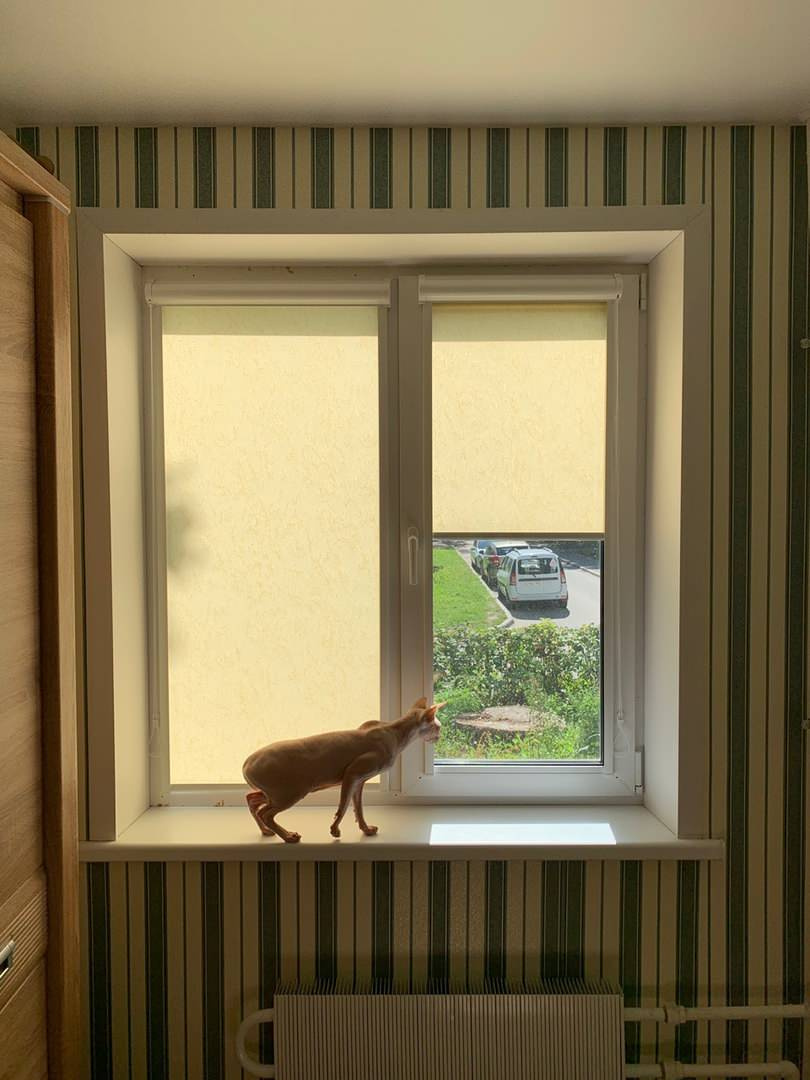 Александр Уколов