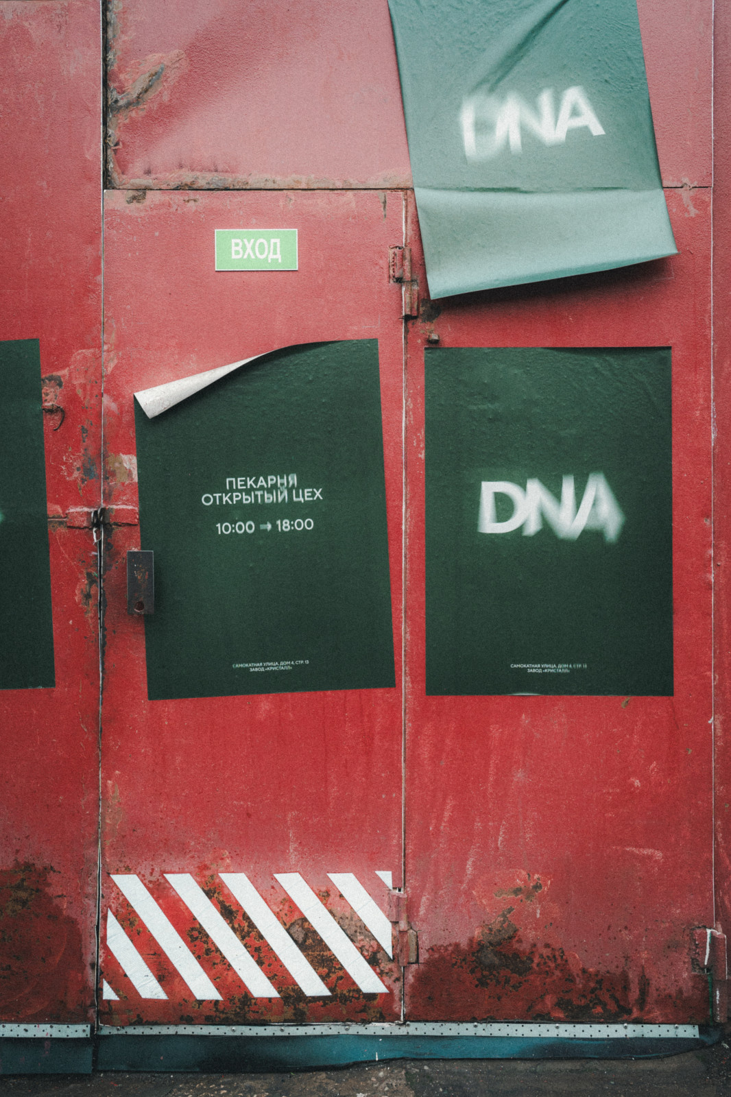 DNA