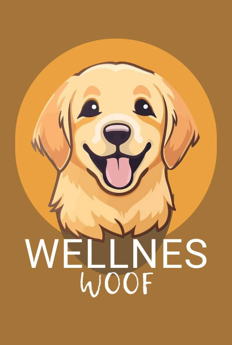 Обложка проекта: Логотип для бренда Wellnes Foof