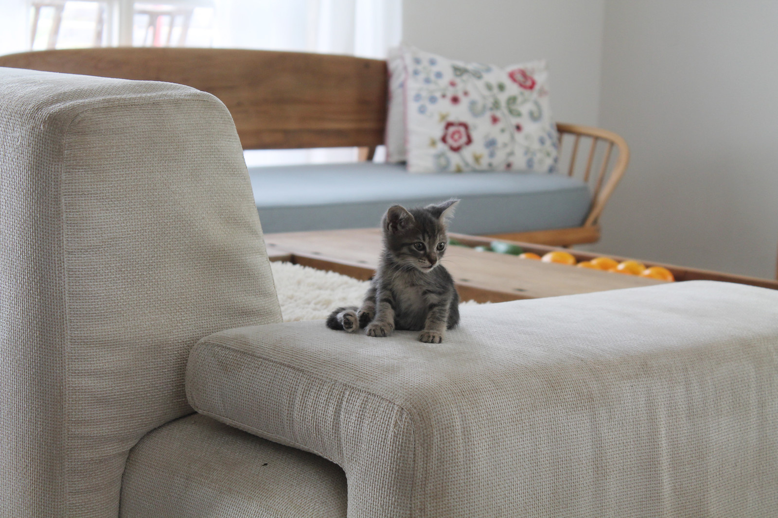 Обложка статьи: Кто вам нужен: Друг по ремонту или дизайнер?