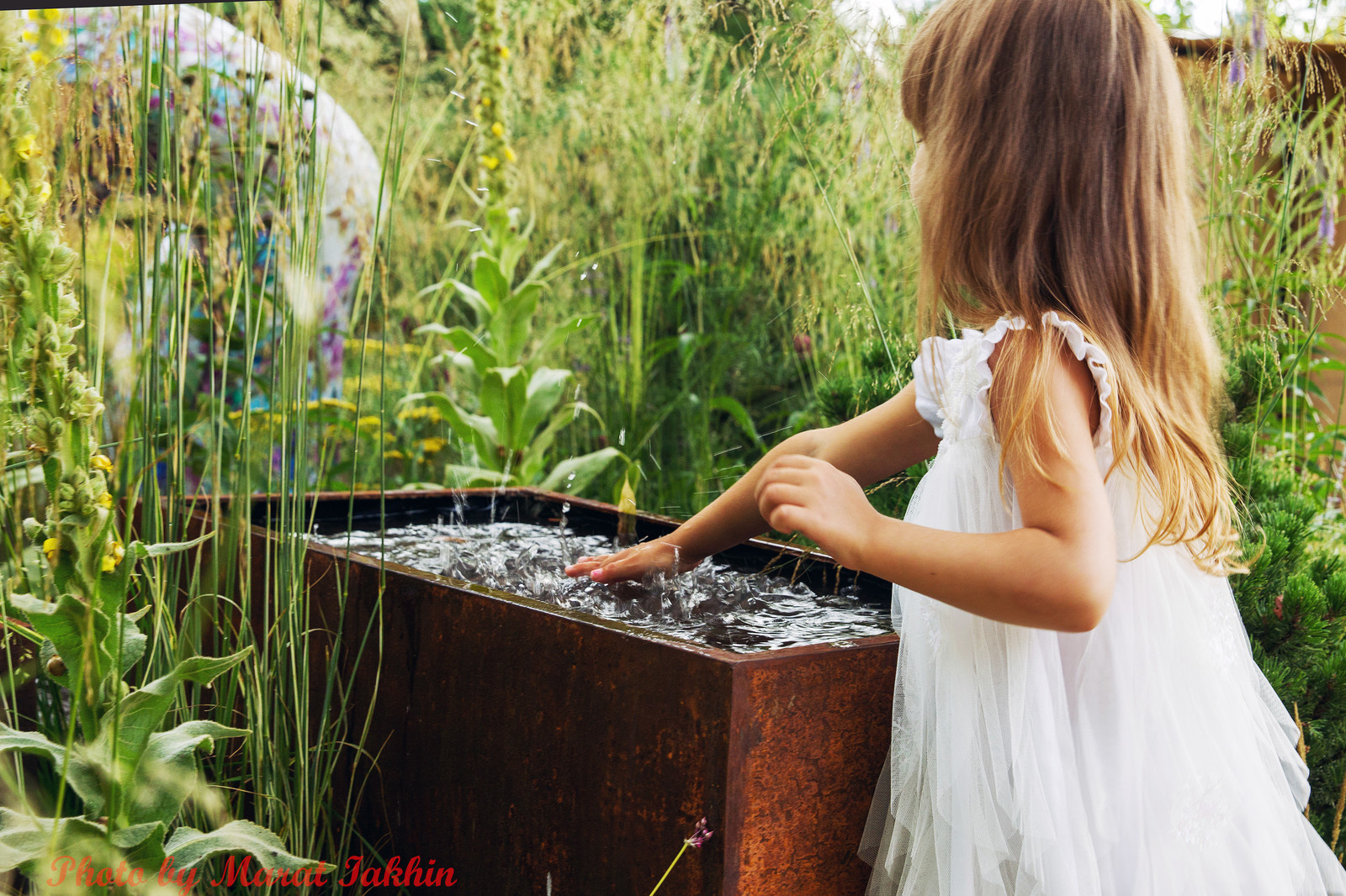 Проект недели: Английский сад о звуке, удивившем мир садоводства