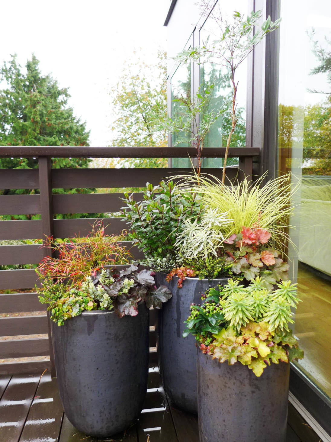 Как правильно: Горшечный сад осенью — проводим апгрейд