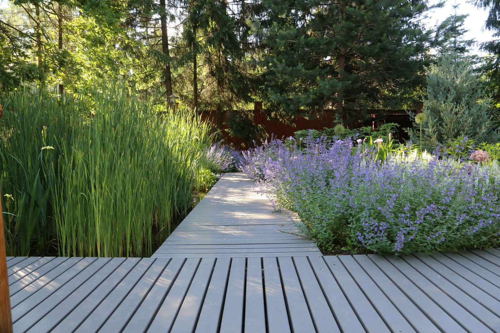 Проект недели: Абстрактная картина вместо запущенного сада