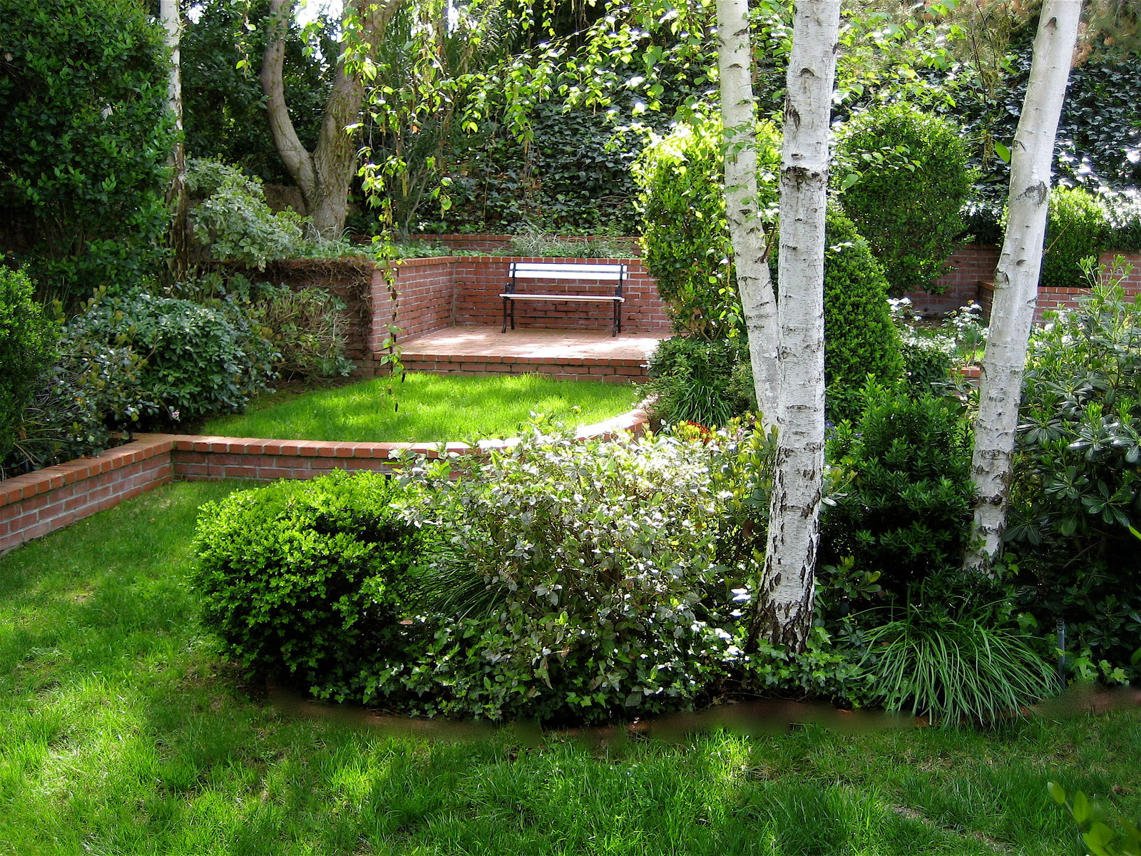 Родные березки: «Русская красавица» снова в игре