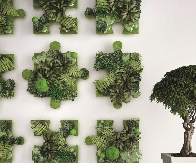 Откуда корни растут: Нестандартные идеи озеленения дома