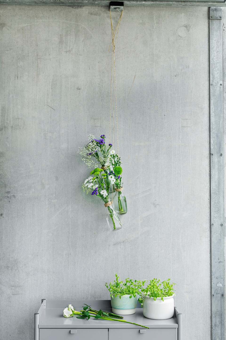 Тренды в озеленении: Как теперь аранжируют комнатные растения