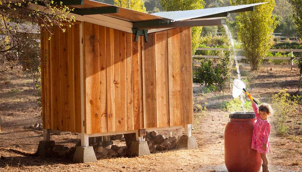 Проект недели: Курятник в Калифорнии, собирающий дождевую воду