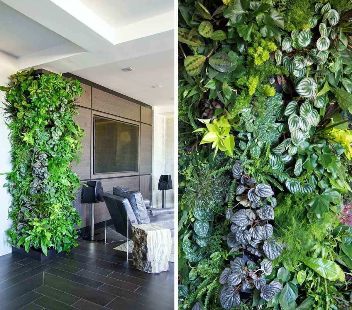 Шесть проблем, которые решает вертикальное озеленение в квартире