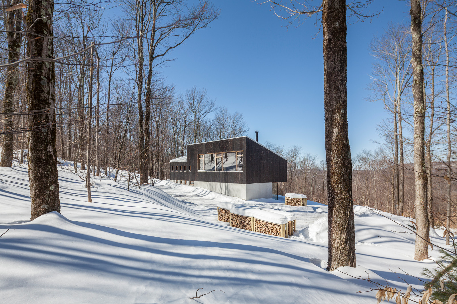 Houzz США:  Дом в лесах, к северу от Нью-Йорка