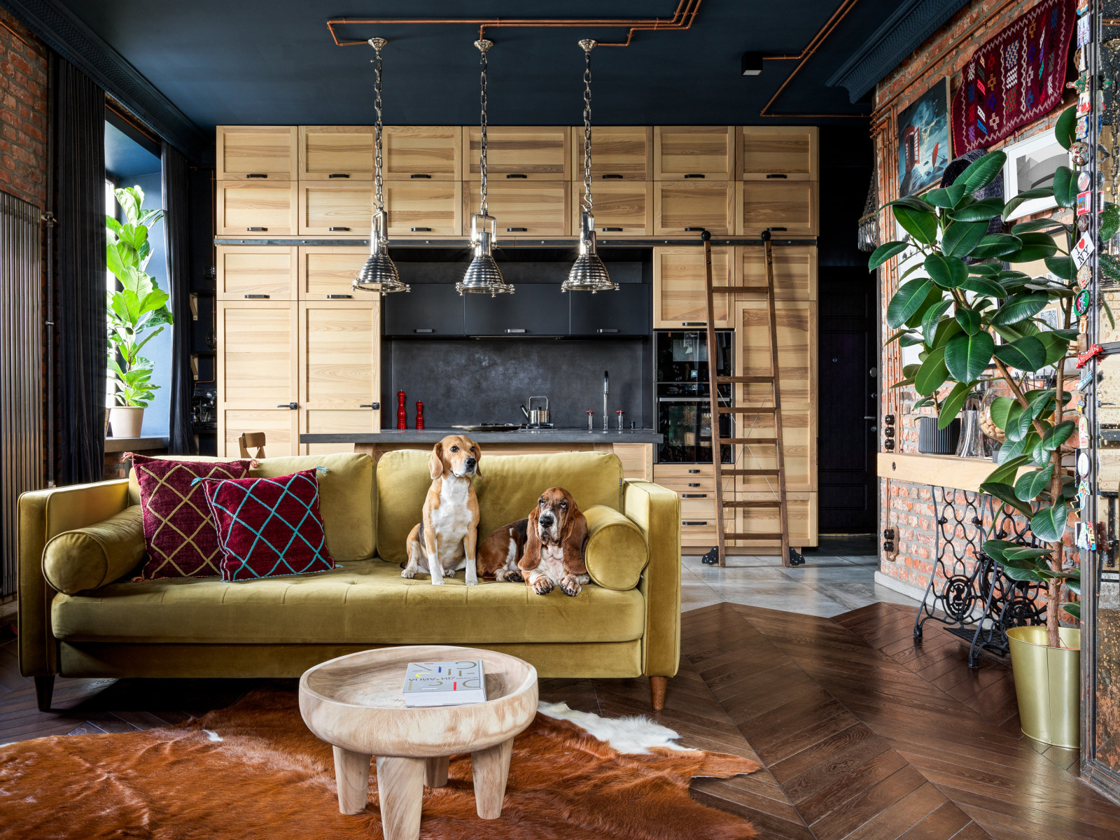 Обложка статьи: Houzz тур: Лофт в Петербурге с домиком для собак