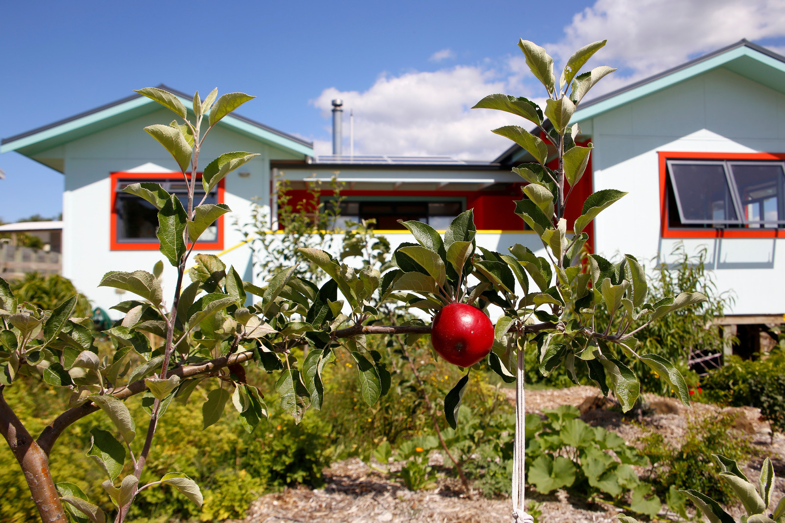 Houzz Новая Зеландия: Яркий дом с цветными рамами