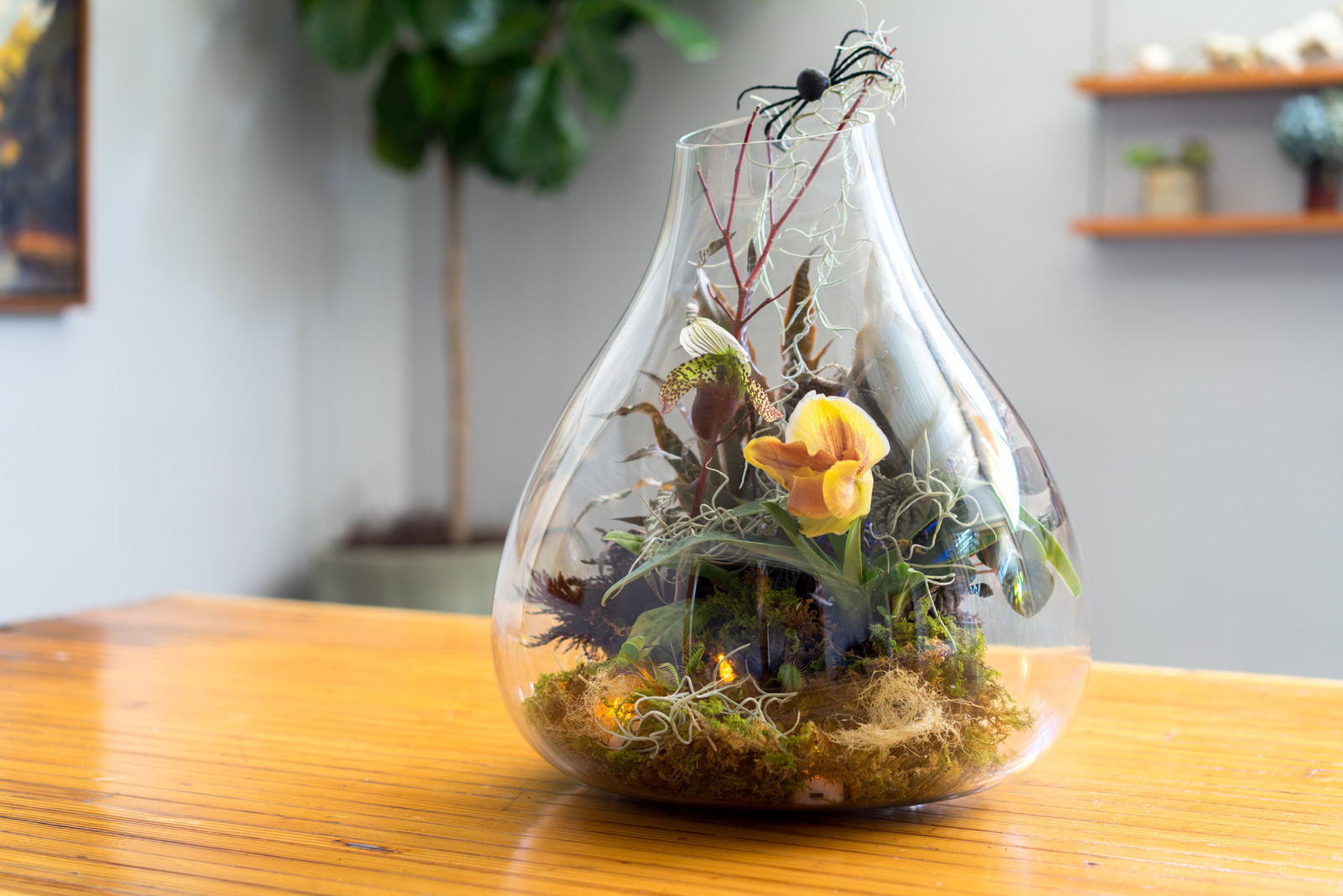 DIY: Террариум для Хэллоуина