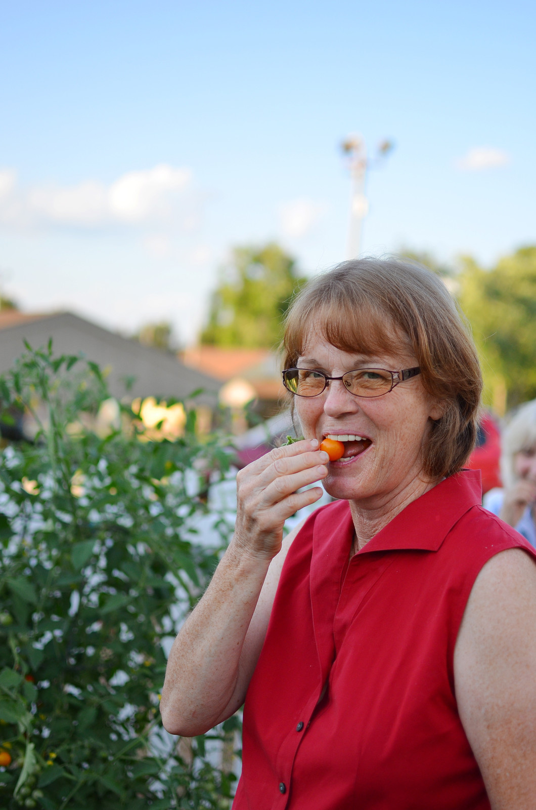 Houzz call: Садовые курьезы и веселые дачные воспоминания