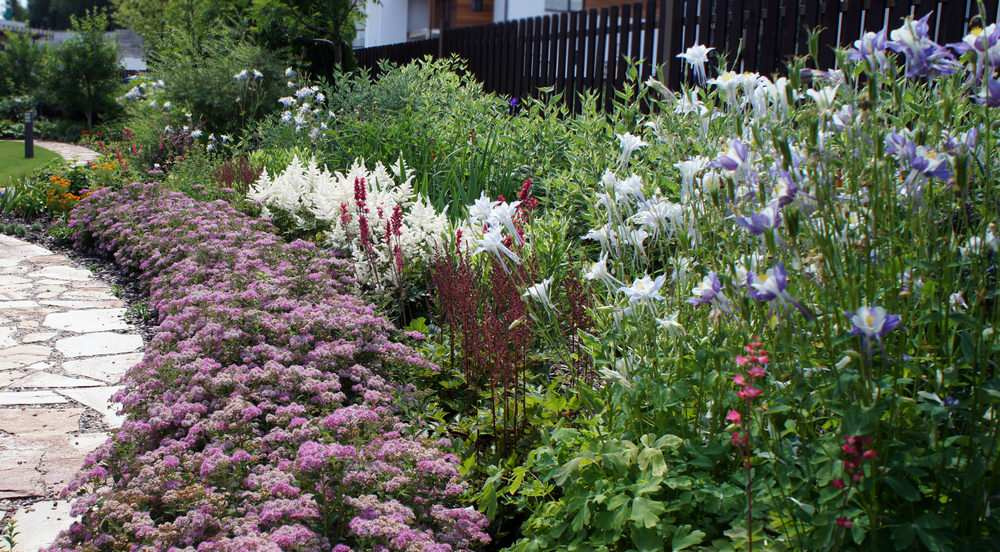 Как правильно: Устроить цветник… на картоне