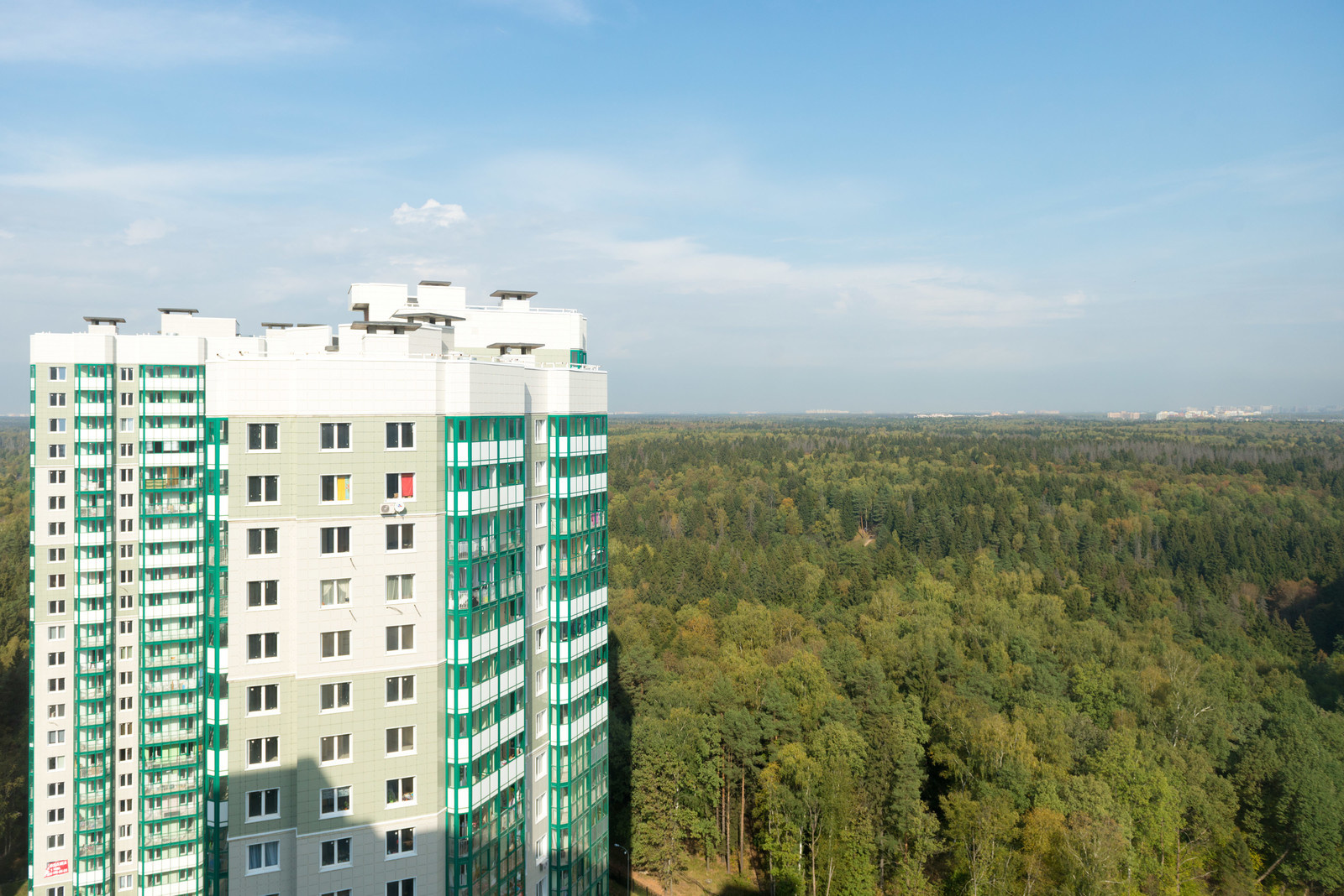 В гостях: Квартира с видом на лес и деревянным декором в Красногорске