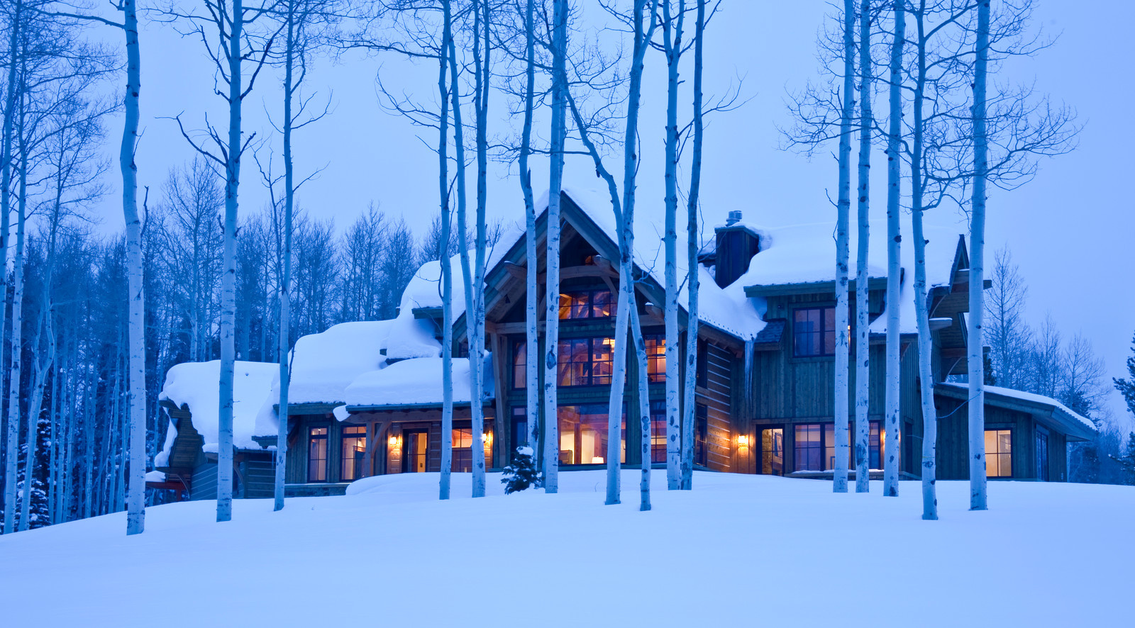 Садовый календарь на январь: Году начало, зиме — середина