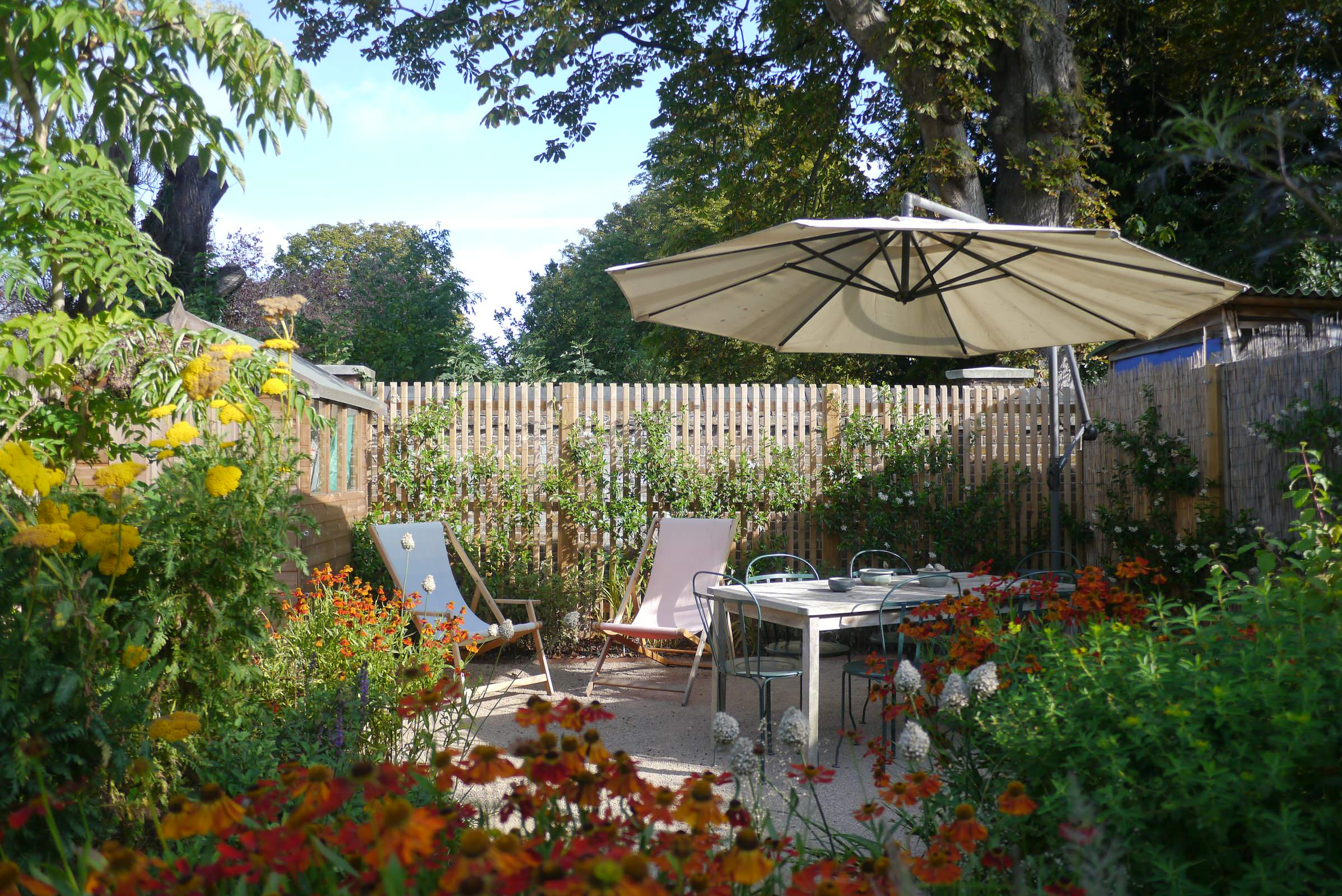 Проект недели: Маленький сад с травами и злаками