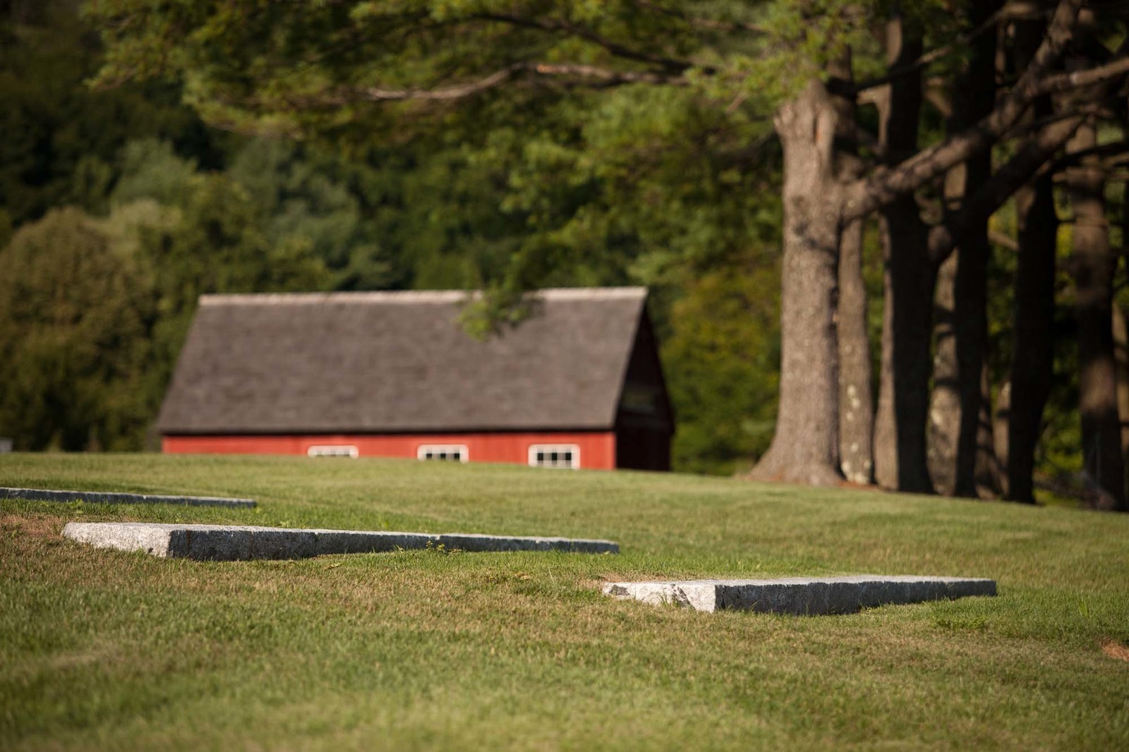 Бюджет: Дорогой в благоустройстве участок — это какой