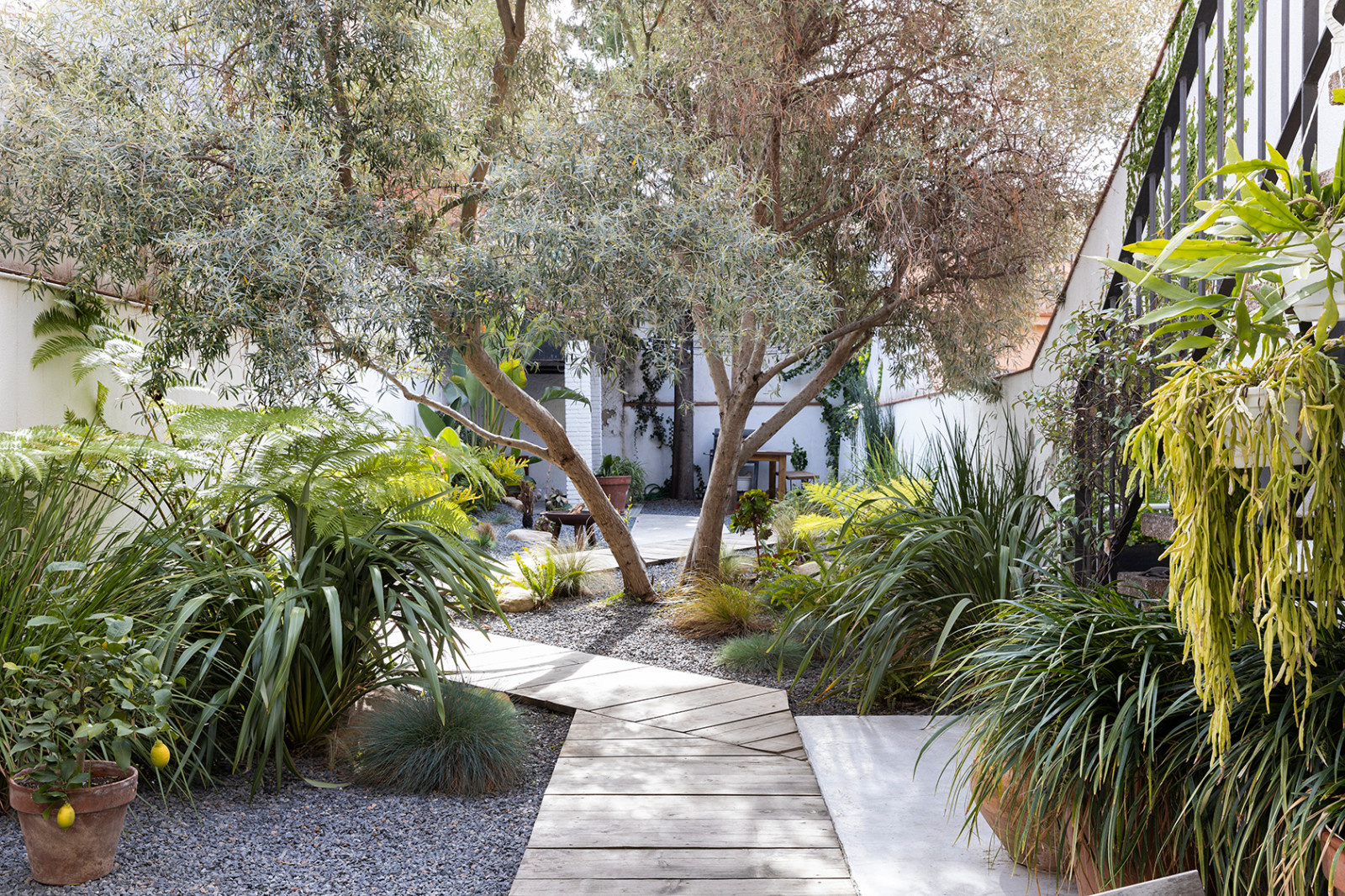 Обложка статьи: Houzz в саду: Тотальная реконструкция узкого сада