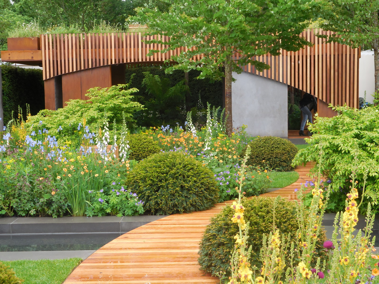 Сад года: Золотой медалист Chelsea Flower Show