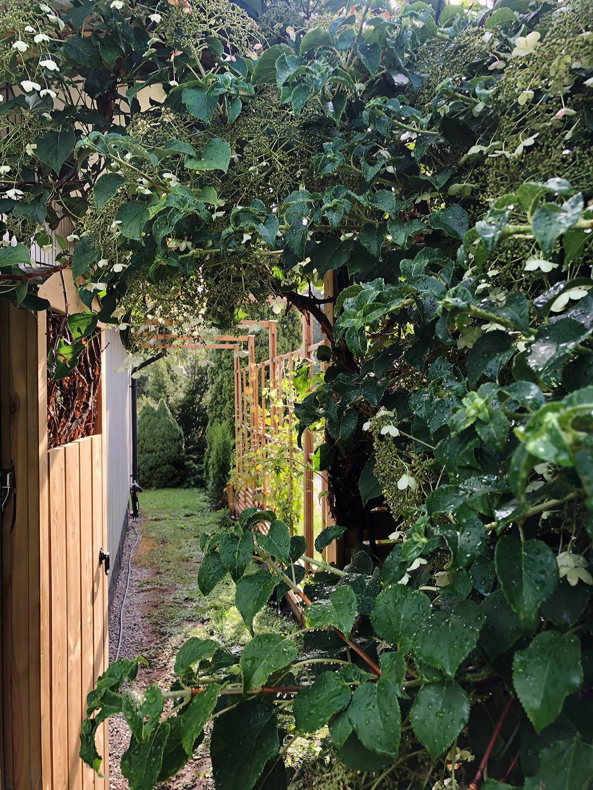 До и после: Летний душ и калитка в сад