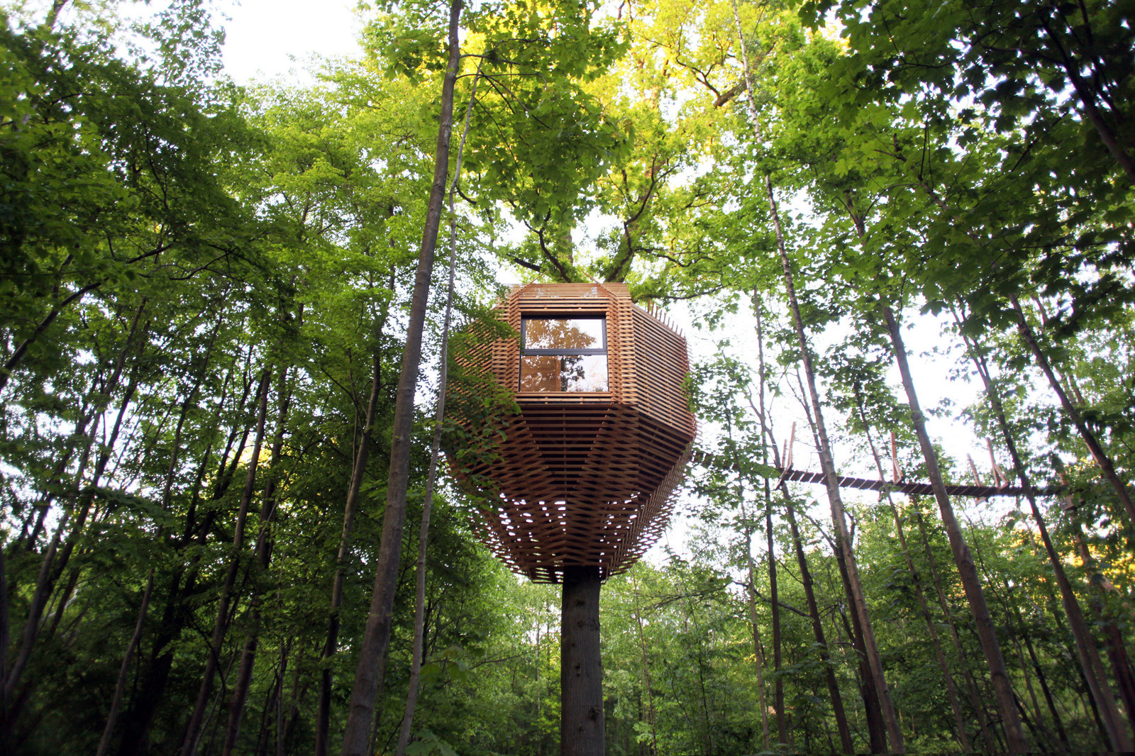 Houzz Франция: Дом на дереве с полноценным санузлом (!)