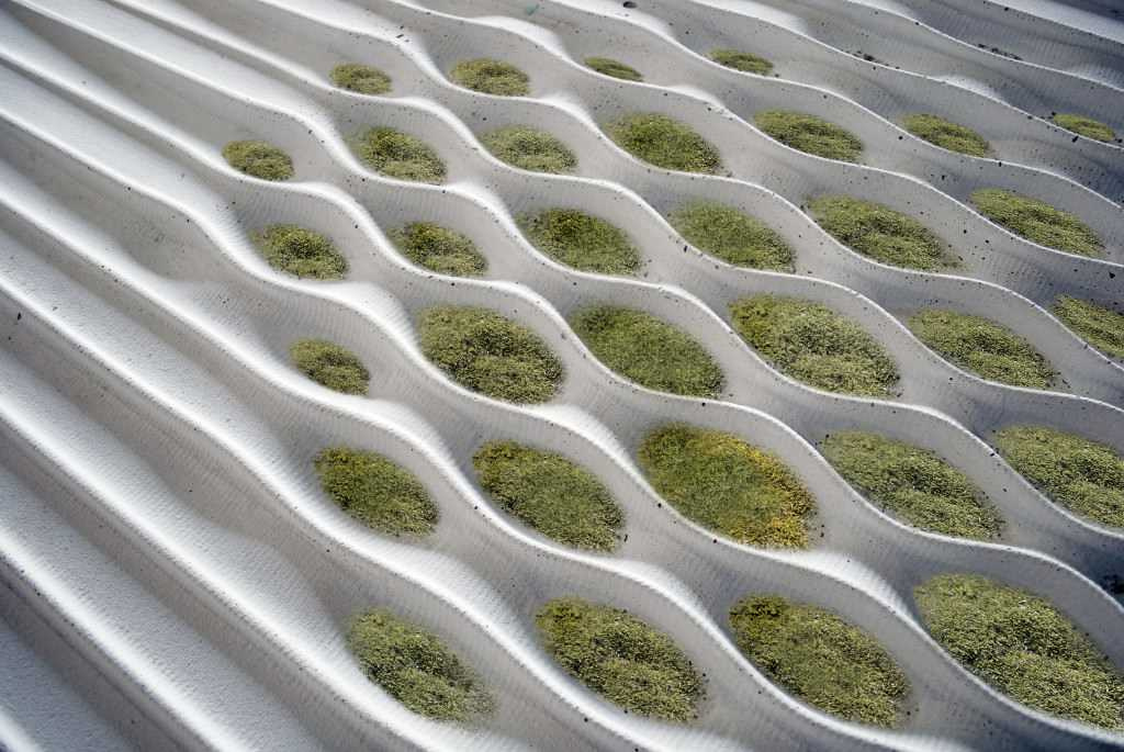 Мир дизайна: Натуральный мох и как его использовать