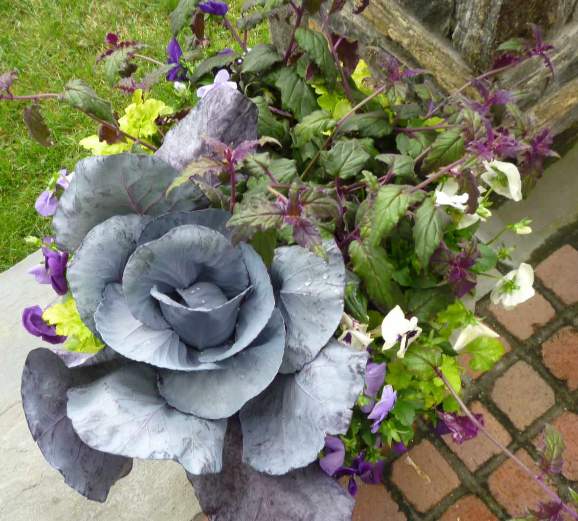 Фотоохота: 45 идей осенних кашпо