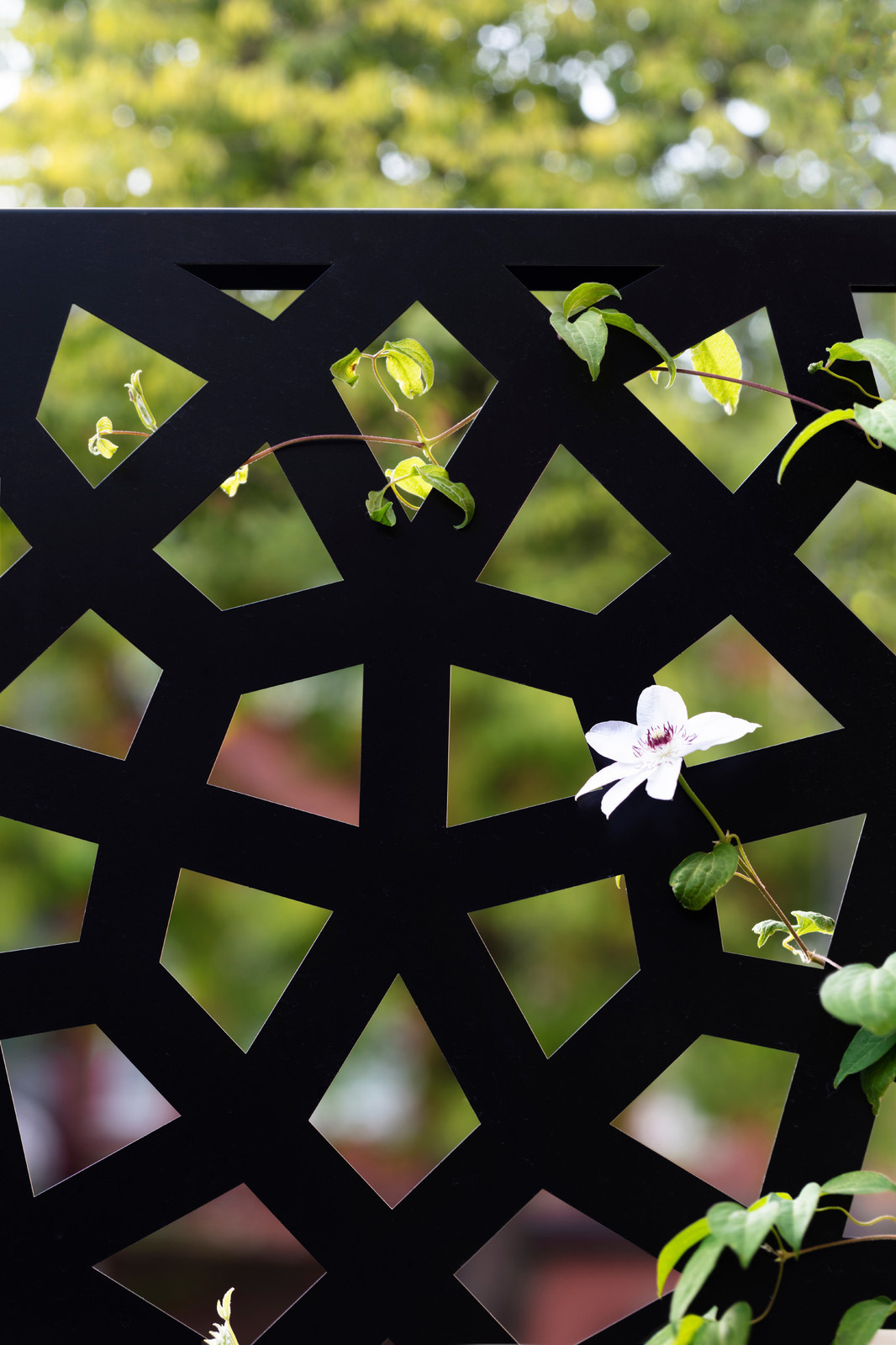 Обложка статьи: Проект недели: 40 кв.м. — переделка узкого двора