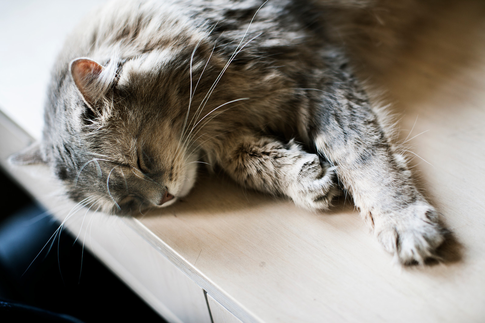 Нет и еще раз нет: Запретные объекты для рабочего стола в офисе