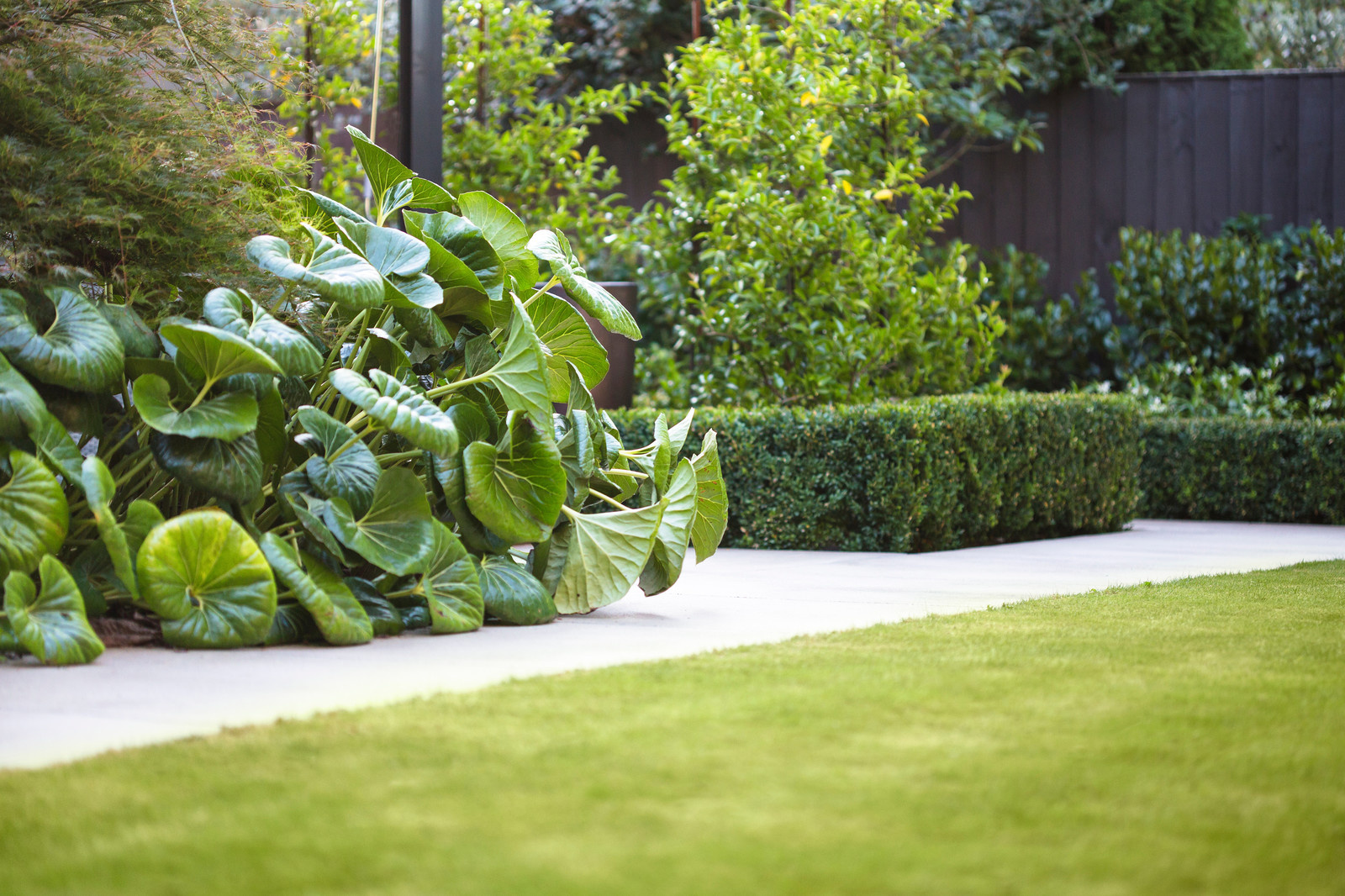 Зачем вам: Миксбордер с растениями в человеческий рост