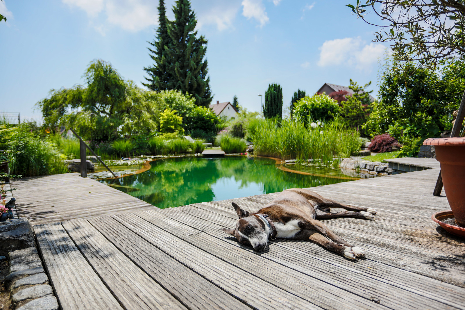 Дизайн-дебаты: О чем спорить с соседями, если ты садовод