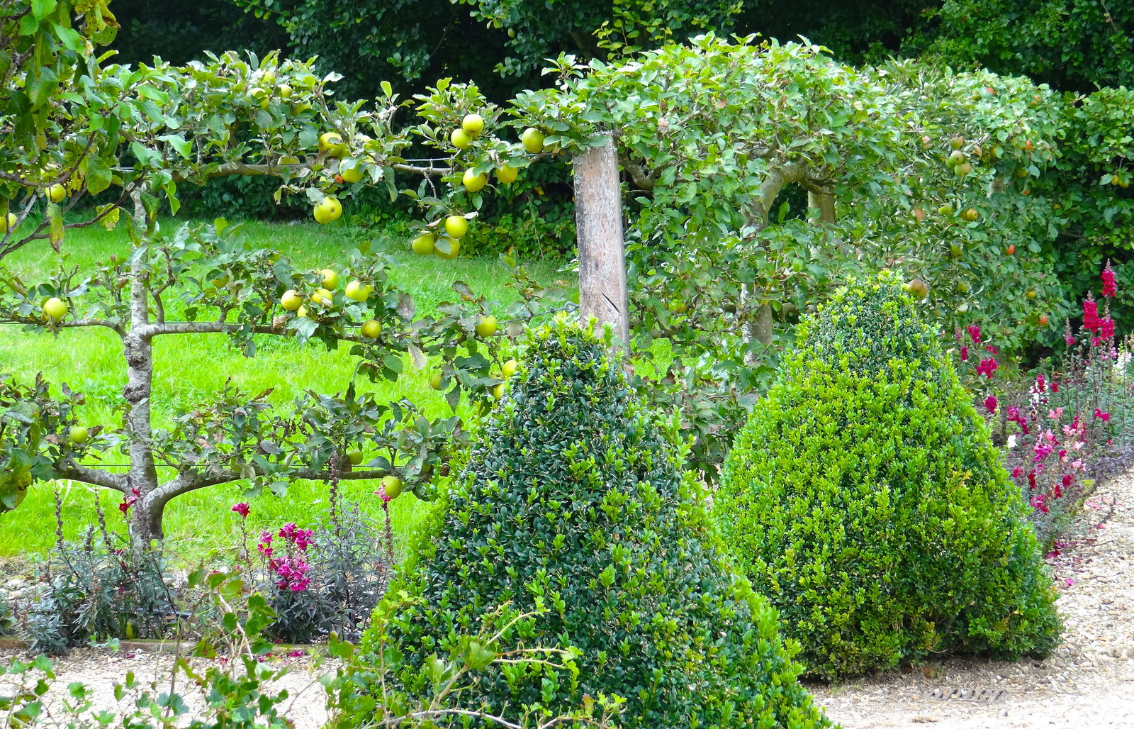 Как правильно: Уход за плодовыми деревьями и кустарниками