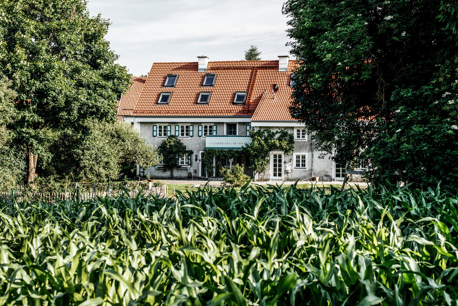 Houzz Германия: Новая жизнь баварской фермы