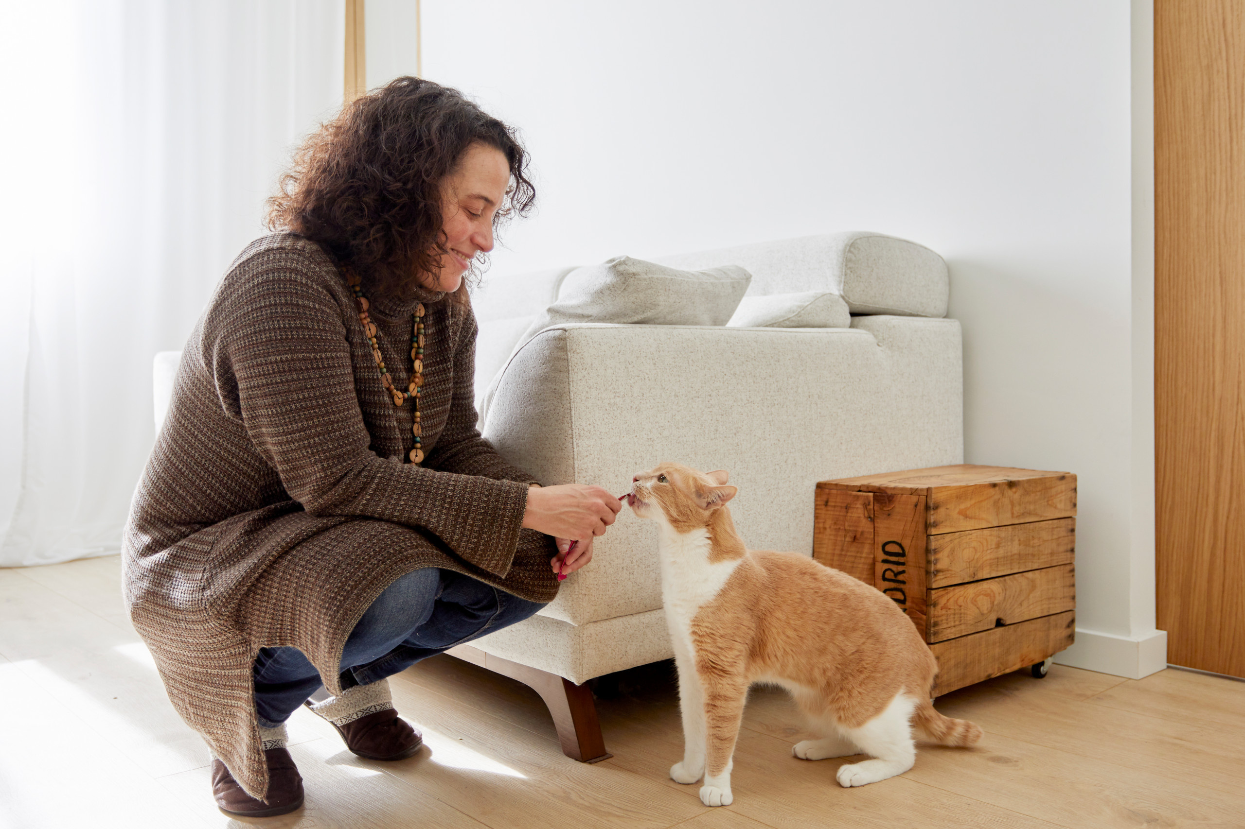 Houzz тур: 31 кв.м — квартира с «гнездом» для кота