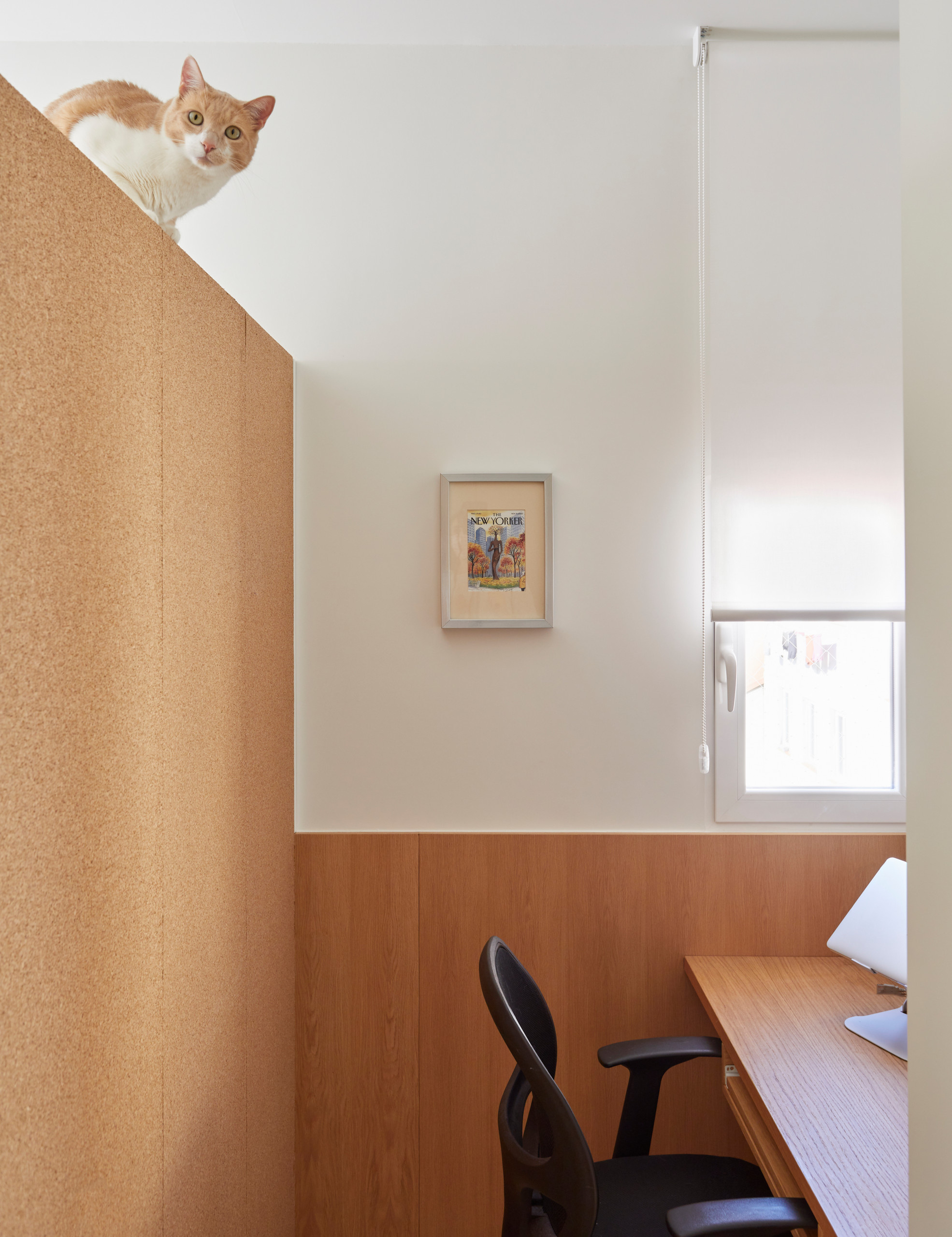 Houzz тур: 31 кв.м — квартира с «гнездом» для кота