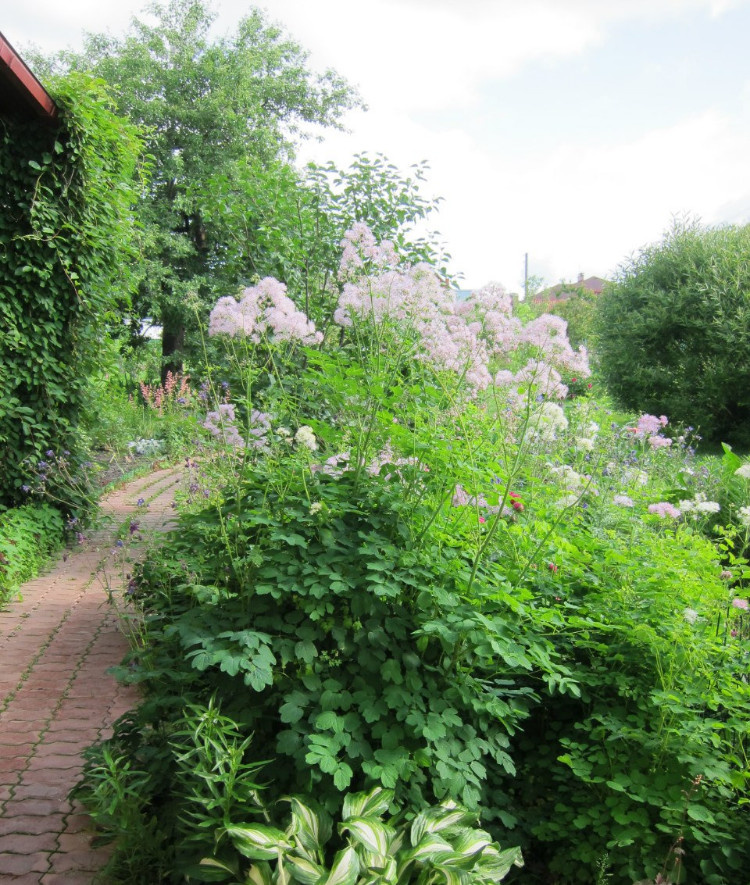 Личный опыт: Как перевезти взрослый сад на другое место
